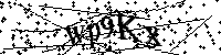 请输入以下文字及数字