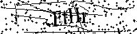 请输入以下文字及数字