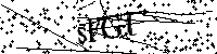 请输入以下文字及数字