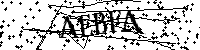 请输入以下文字及数字