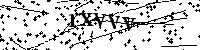 请输入以下文字及数字