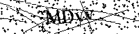 请输入以下文字及数字