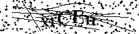请输入以下文字及数字