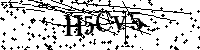 请输入以下文字及数字