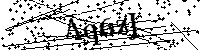 请输入以下文字及数字