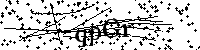 请输入以下文字及数字