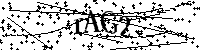 请输入以下文字及数字