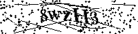 请输入以下文字及数字