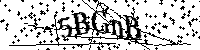 请输入以下文字及数字