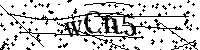请输入以下文字及数字