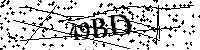 请输入以下文字及数字