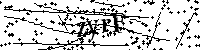 請輸入以下文字及數字