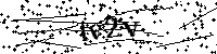 请输入以下文字及数字