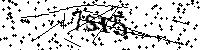 请输入以下文字及数字