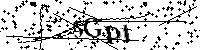请输入以下文字及数字