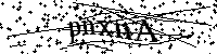 请输入以下文字及数字