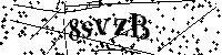 请输入以下文字及数字