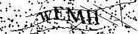请输入以下文字及数字