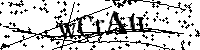 请输入以下文字及数字