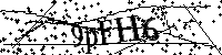 请输入以下文字及数字