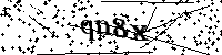 请输入以下文字及数字