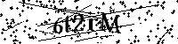 请输入以下文字及数字