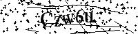 请输入以下文字及数字