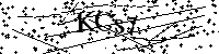 请输入以下文字及数字