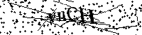 请输入以下文字及数字