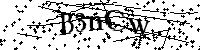 请输入以下文字及数字