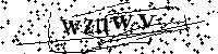 请输入以下文字及数字