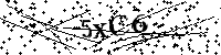 请输入以下文字及数字