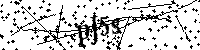 请输入以下文字及数字