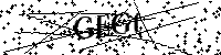 请输入以下文字及数字