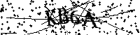 请输入以下文字及数字
