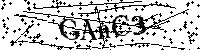 请输入以下文字及数字