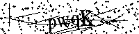 请输入以下文字及数字
