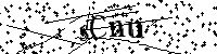 请输入以下文字及数字