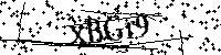 请输入以下文字及数字