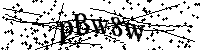 请输入以下文字及数字