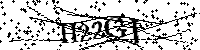 请输入以下文字及数字