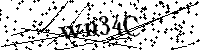 请输入以下文字及数字
