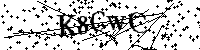 请输入以下文字及数字