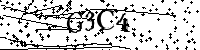 请输入以下文字及数字